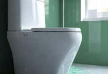 499元智能马桶深度解析：品质生活从细节开始