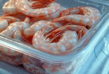 熟虾冷藏保存技巧：了解虾的冷藏期限