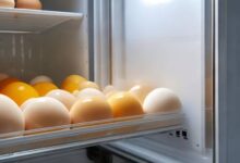 鸡蛋冷藏时间：多久是最佳？揭秘冰箱冷藏鸡蛋的保质期