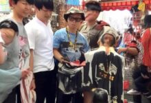 洗衣机选购攻略：如何根据洗涤容量选择合适型号