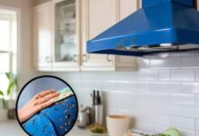 蓝导抽油烟机清洗技巧，轻松告别油污困扰