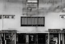 美的冰箱性价比之王：选购指南揭秘