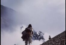 帅康与美的油烟机对比：性能与口碑全面解析