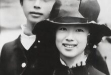 中央空调润滑油循环系统维护与保养技巧