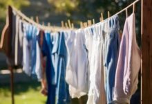 波轮洗衣机单脱水操作指南