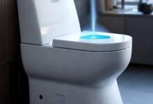 家用智能马桶，多功能电动马桶体验评测