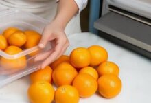 橘子放进冰箱保鲜技巧大揭秘