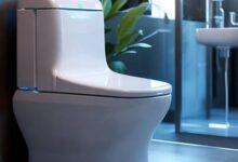 智能马桶选购攻略：为何有的马桶没有喷射头？