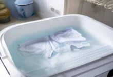 洗衣机洗完内裤如何有效消毒？实用方法大揭秘