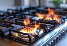 燃气灶双灶家用价格揭秘：品质与价格完美匹配